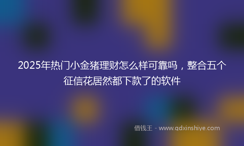2025年热门小金猪理财怎么样可靠吗，整合五个征信花居然都下款了的软件