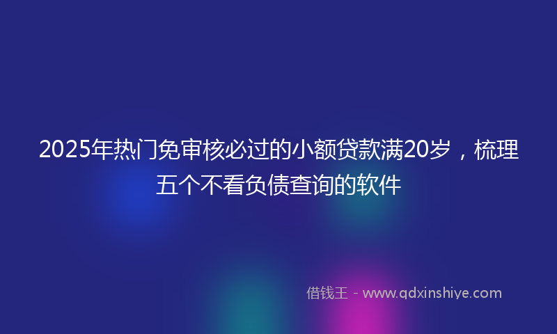 2025年热门免审核必过的小额贷款满20岁，梳理五个不看负债查询的软件