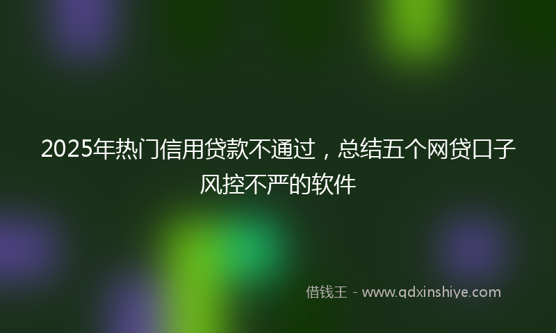 2025年热门信用贷款不通过，总结五个网贷口子风控不严的软件