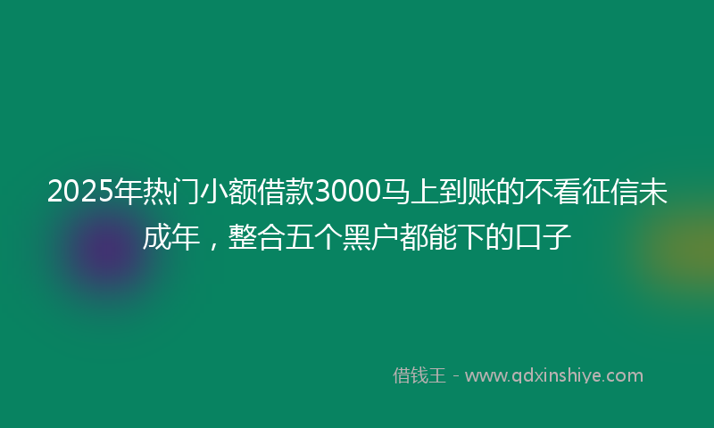2025年热门小额借款3000马上到账的不看征信未成年，整合五个黑户都能下的口子