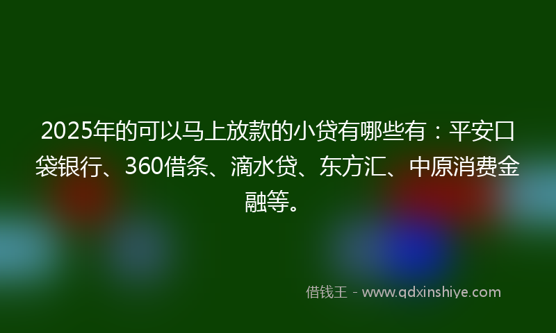 2025年的可以马上放款的小贷有哪些有：平安口袋银行、360借条、滴水贷、东方汇、中原消费金融等。