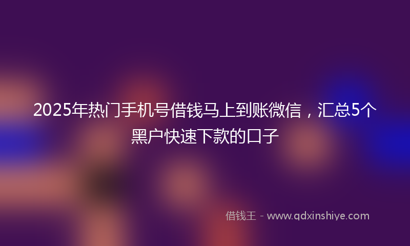2025年热门手机号借钱马上到账微信，汇总5个黑户快速下款的口子