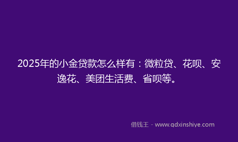 2025年的小金贷款怎么样有：微粒贷、花呗、安逸花、美团生活费、省呗等。