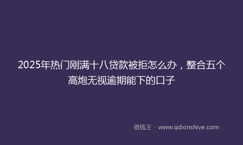 2025年热门刚满十八贷款被拒怎么办，整合五个高炮无视逾期能下的口子