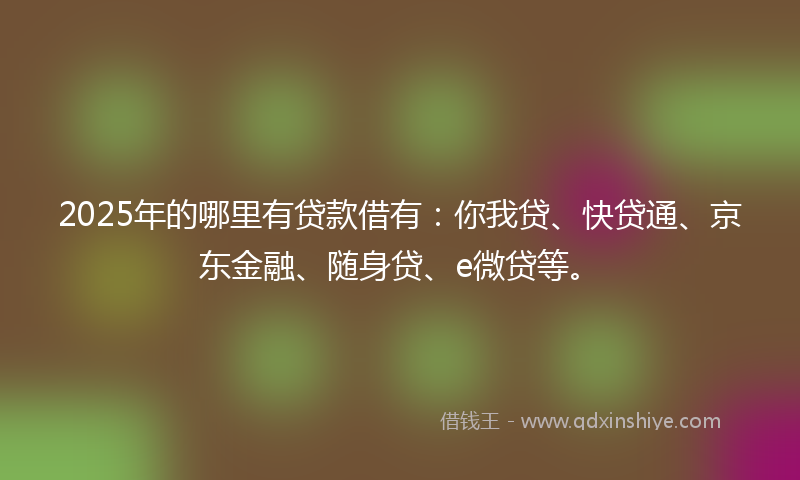 2025年的哪里有贷款借有：你我贷、快贷通、京东金融、随身贷、e微贷等。