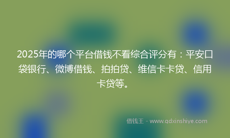2025年的哪个平台借钱不看综合评分有：平安口袋银行、微博借钱、拍拍贷、维信卡卡贷、信用卡贷等。