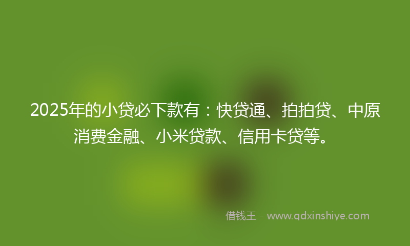 2025年的小贷必下款有：快贷通、拍拍贷、中原消费金融、小米贷款、信用卡贷等。
