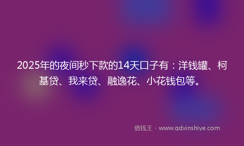 2025年的夜间秒下款的14天口子有：洋钱罐、柯基贷、我来贷、融逸花、小花钱包等。