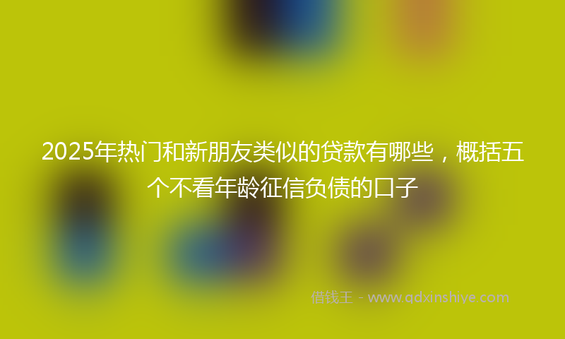 2025年热门和新朋友类似的贷款有哪些，概括五个不看年龄征信负债的口子