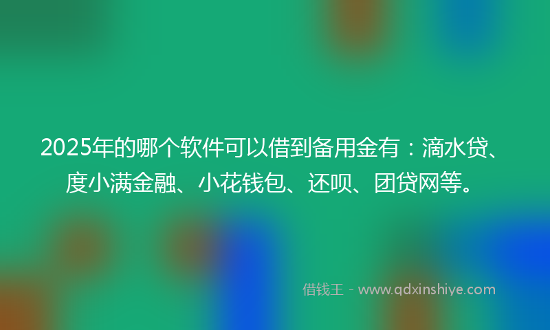 2025年的哪个软件可以借到备用金有：滴水贷、度小满金融、小花钱包、还呗、团贷网等。