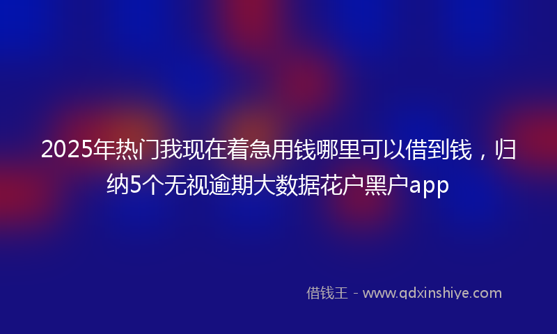 2025年热门我现在着急用钱哪里可以借到钱，归纳5个无视逾期大数据花户黑户app