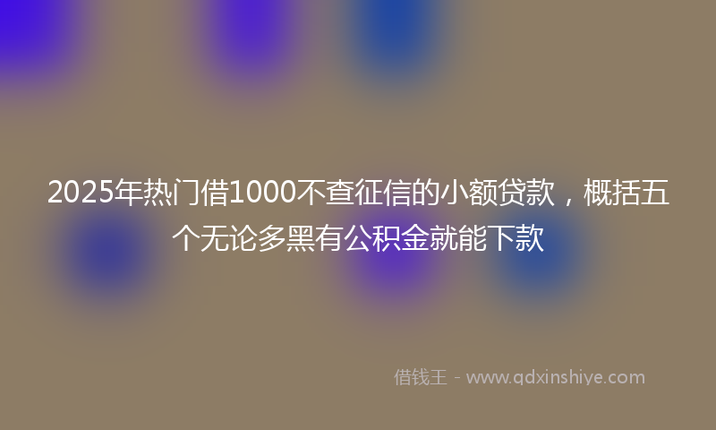 2025年热门借1000不查征信的小额贷款，概括五个无论多黑有公积金就能下款