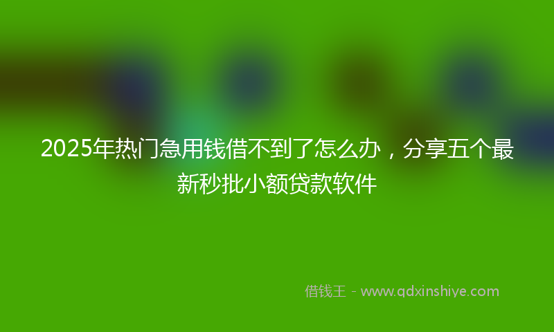 2025年热门急用钱借不到了怎么办，分享五个最新秒批小额贷款软件