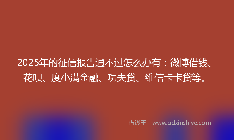 2025年的征信报告通不过怎么办有：微博借钱、花呗、度小满金融、功夫贷、维信卡卡贷等。