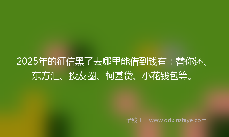 2025年的征信黑了去哪里能借到钱有：替你还、东方汇、投友圈、柯基贷、小花钱包等。