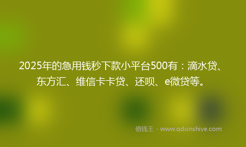 2025年的急用钱秒下款小平台500有：滴水贷、东方汇、维信卡卡贷、还呗、e微贷等。