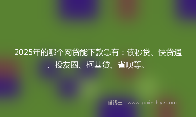 2025年的哪个网贷能下款急有：读秒贷、快贷通、投友圈、柯基贷、省呗等。
