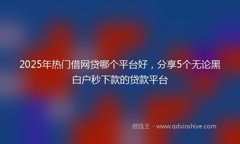 2025年热门借网贷哪个平台好，分享5个无论黑白户秒下款的贷款平台