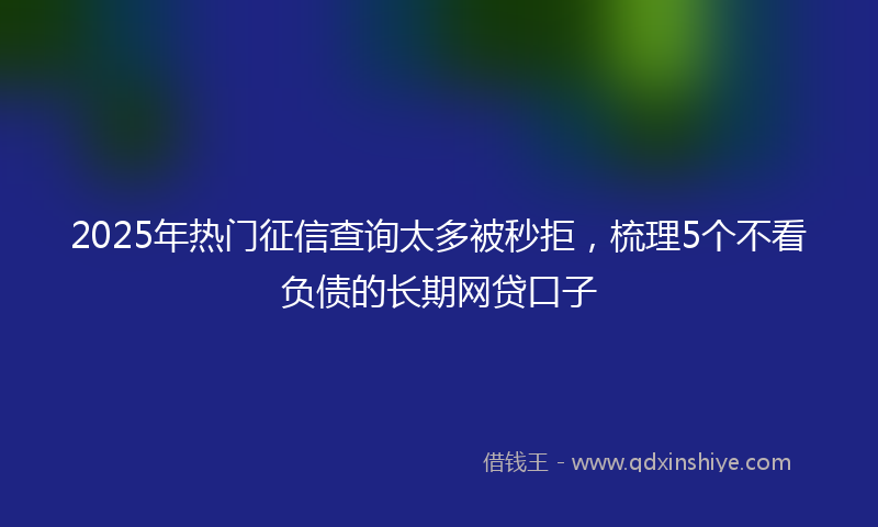 2025年热门征信查询太多被秒拒，梳理5个不看负债的长期网贷口子