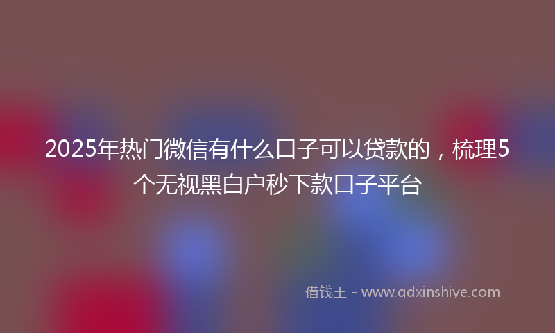 2025年热门微信有什么口子可以贷款的，梳理5个无视黑白户秒下款口子平台