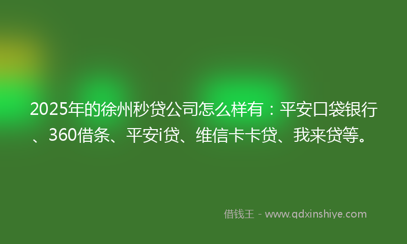 2025年的徐州秒贷公司怎么样有：平安口袋银行、360借条、平安i贷、维信卡卡贷、我来贷等。