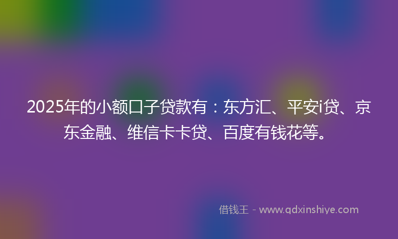2025年的小额口子贷款有：东方汇、平安i贷、京东金融、维信卡卡贷、百度有钱花等。