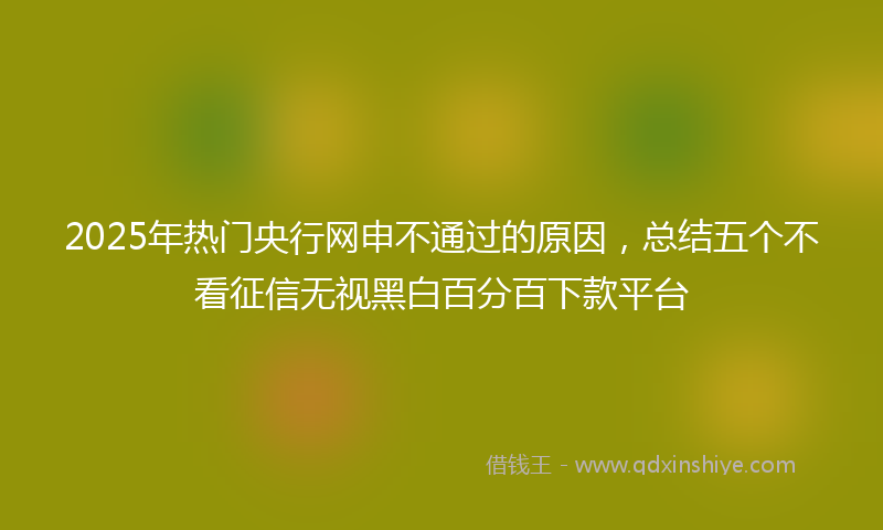 2025年热门央行网申不通过的原因，总结五个不看征信无视黑白百分百下款平台