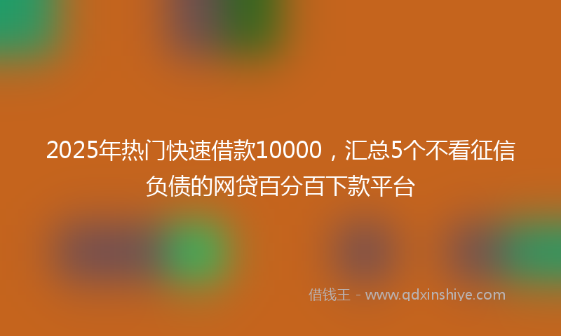 2025年热门快速借款10000，汇总5个不看征信负债的网贷百分百下款平台