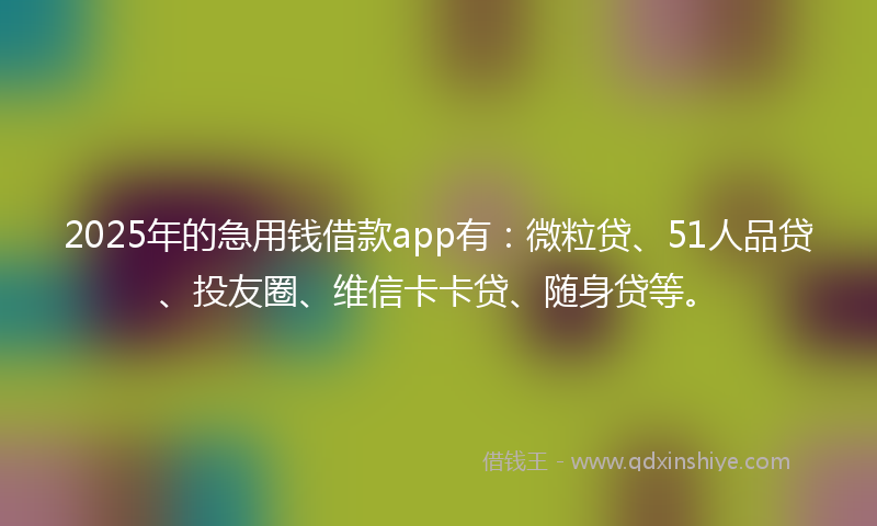 2025年的急用钱借款app有：微粒贷、51人品贷、投友圈、维信卡卡贷、随身贷等。