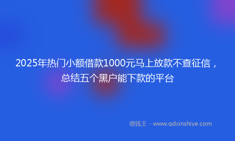 2025年热门小额借款1000元马上放款不查征信，总结五个黑户能下款的平台