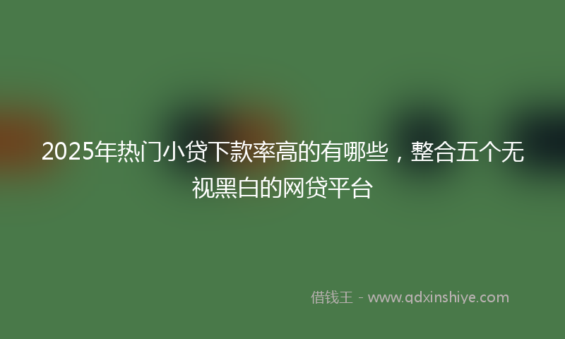 2025年热门小贷下款率高的有哪些，整合五个无视黑白的网贷平台