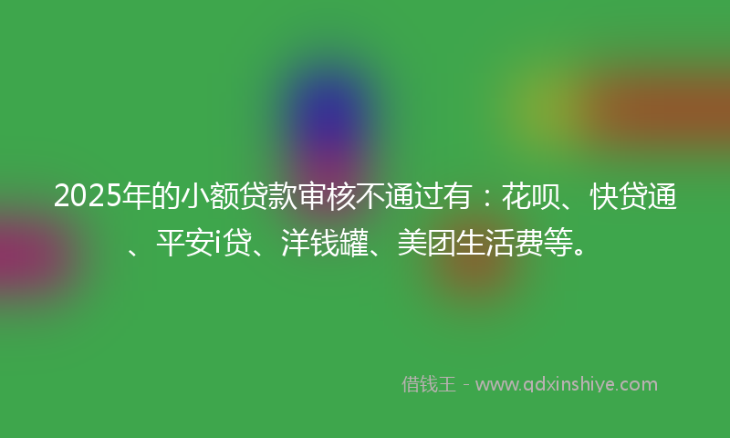 2025年的小额贷款审核不通过有：花呗、快贷通、平安i贷、洋钱罐、美团生活费等。