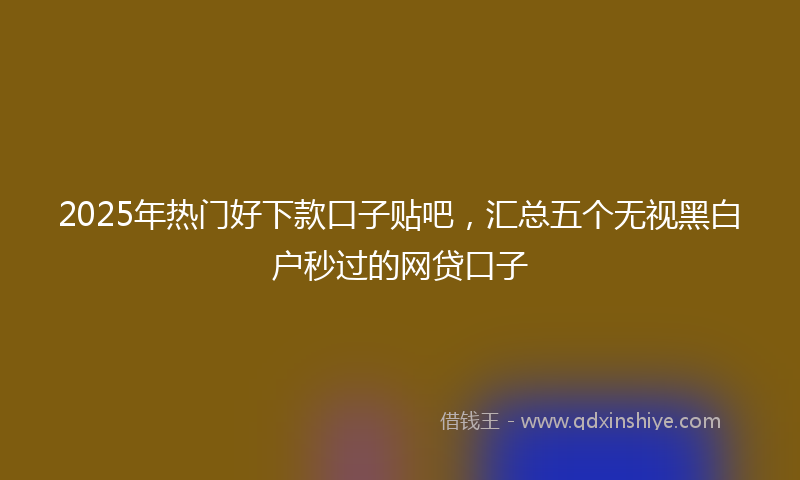 2025年热门好下款口子贴吧，汇总五个无视黑白户秒过的网贷口子