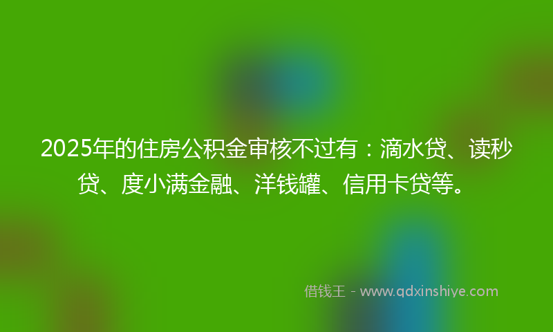 2025年的住房公积金审核不过有：滴水贷、读秒贷、度小满金融、洋钱罐、信用卡贷等。