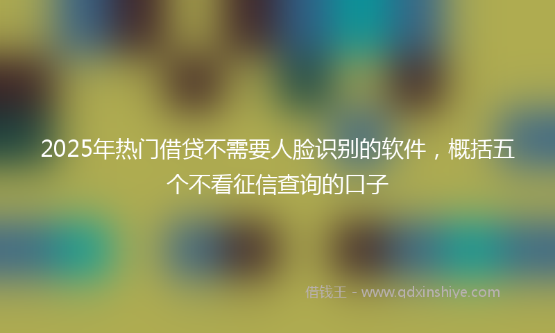 2025年热门借贷不需要人脸识别的软件，概括五个不看征信查询的口子