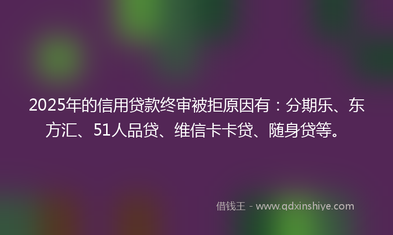 2025年的信用贷款终审被拒原因有：分期乐、东方汇、51人品贷、维信卡卡贷、随身贷等。