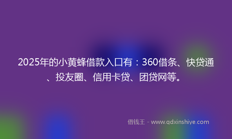 2025年的小黄蜂借款入口有：360借条、快贷通、投友圈、信用卡贷、团贷网等。