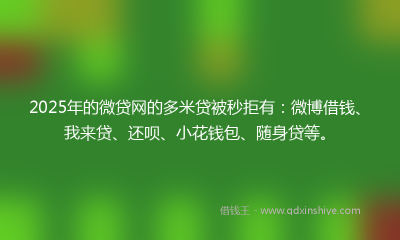 2025年的微贷网的多米贷被秒拒有：微博借钱、我来贷、还呗、小花钱包、随身贷等。