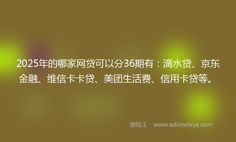 2025年的哪家网贷可以分36期有：滴水贷、京东金融、维信卡卡贷、美团生活费、信用卡贷等。