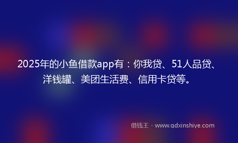 2025年的小鱼借款app有：你我贷、51人品贷、洋钱罐、美团生活费、信用卡贷等。