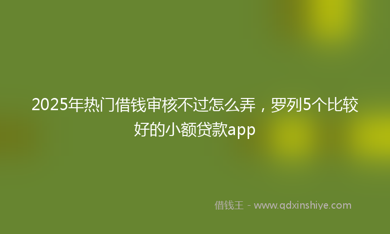 2025年热门借钱审核不过怎么弄，罗列5个比较好的小额贷款app