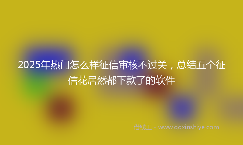 2025年热门怎么样征信审核不过关，总结五个征信花居然都下款了的软件