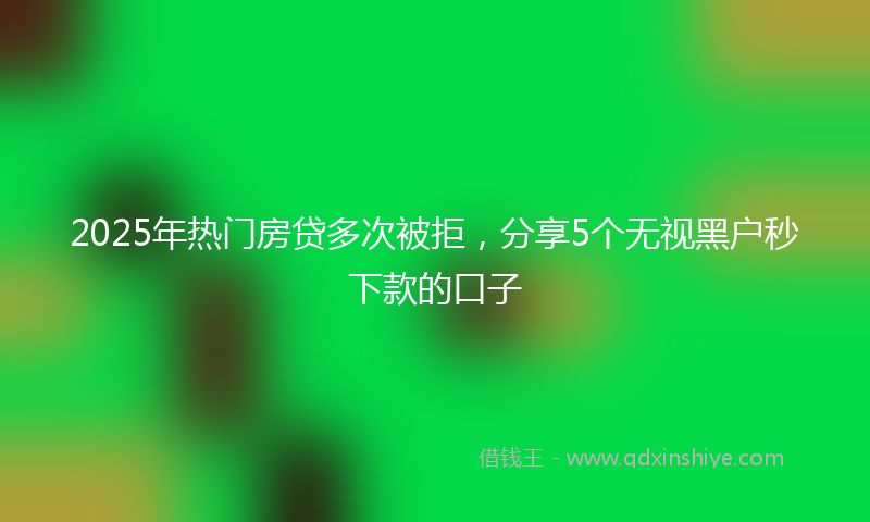2025年热门房贷多次被拒，分享5个无视黑户秒下款的口子
