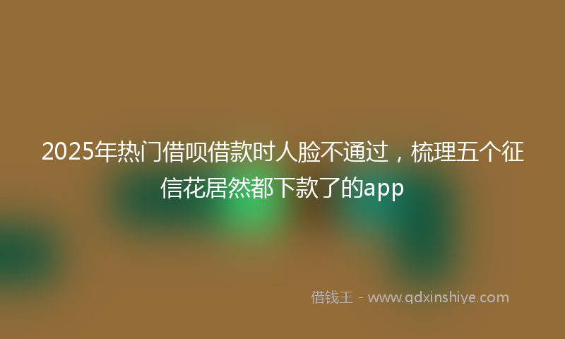 2025年热门借呗借款时人脸不通过，梳理五个征信花居然都下款了的app