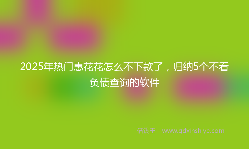 2025年热门惠花花怎么不下款了，归纳5个不看负债查询的软件