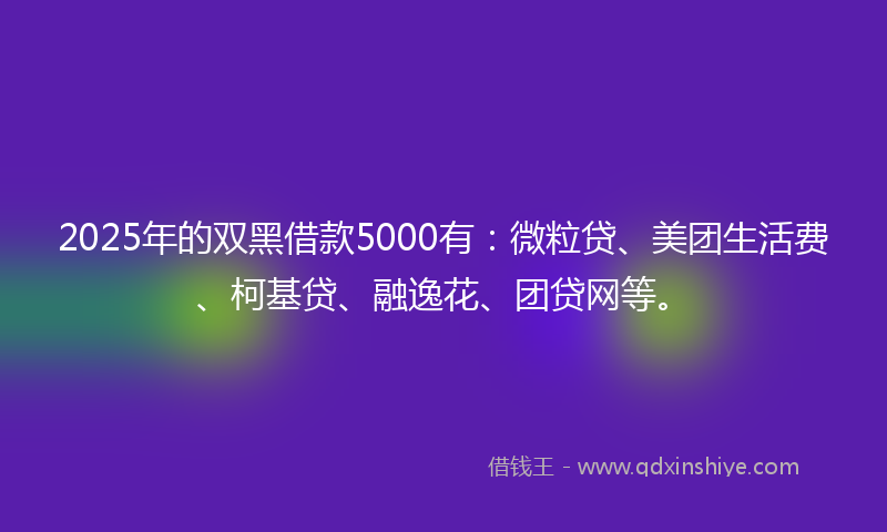 2025年的双黑借款5000有：微粒贷、美团生活费、柯基贷、融逸花、团贷网等。