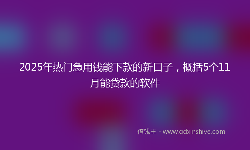 2025年热门急用钱能下款的新口子，概括5个11月能贷款的软件