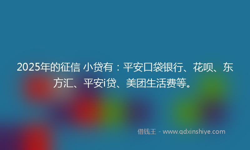 2025年的征信 小贷有：平安口袋银行、花呗、东方汇、平安i贷、美团生活费等。