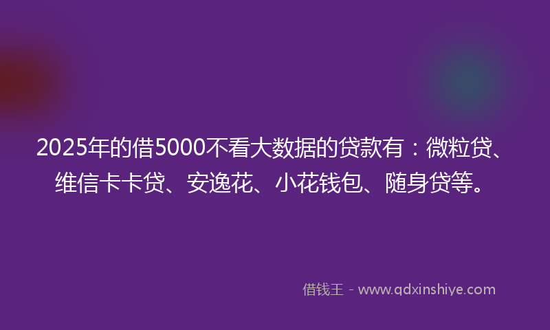 2025年的借5000不看大数据的贷款有：微粒贷、维信卡卡贷、安逸花、小花钱包、随身贷等。