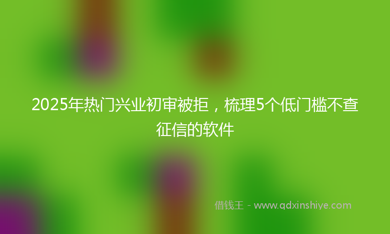2025年热门兴业初审被拒，梳理5个低门槛不查征信的软件